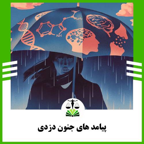 پیامد های جنون دزدی