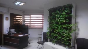 گروه روانشناسی رواوش