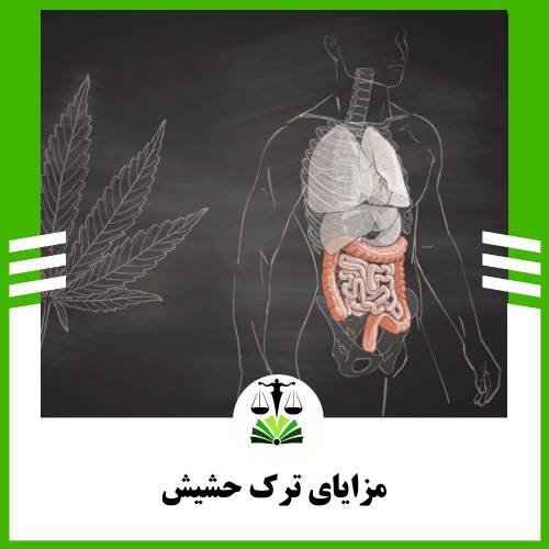 مزایای ترک حشیش